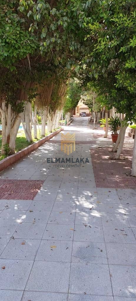 7 WhatsApp Image 2025-11-13 at 3.10. 35 PM (2). jpeg