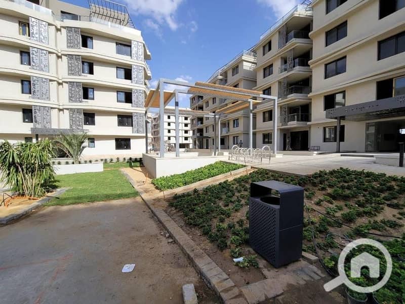 7 بادية badya (8). jpg