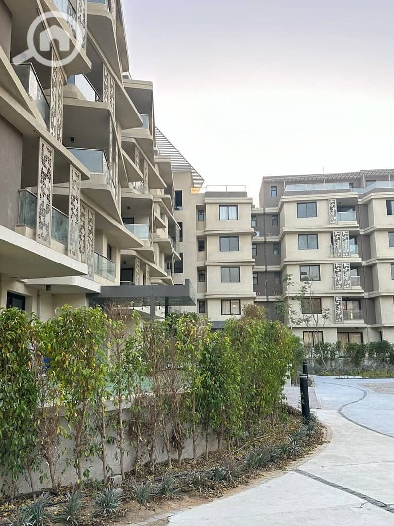 8 بادية badya (1). jpg