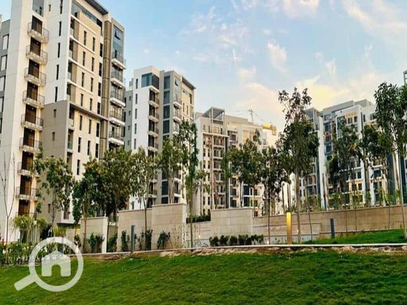 6 4744333-9b9cao. jpg