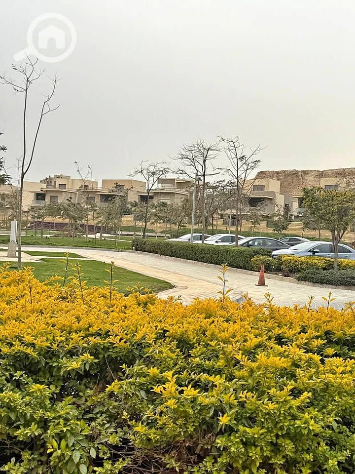 11 489333087_1184127390167492_8869004762065020039_n. jpg