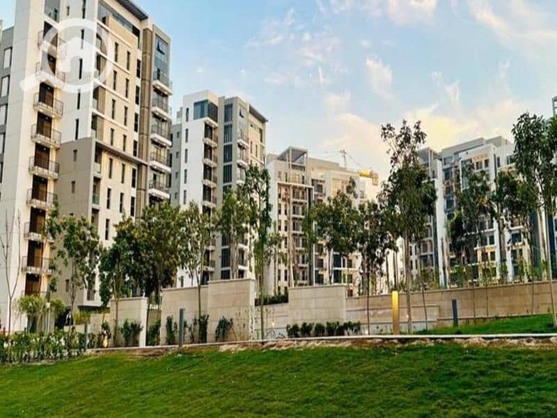 4 4744333-9b9cao. jpg