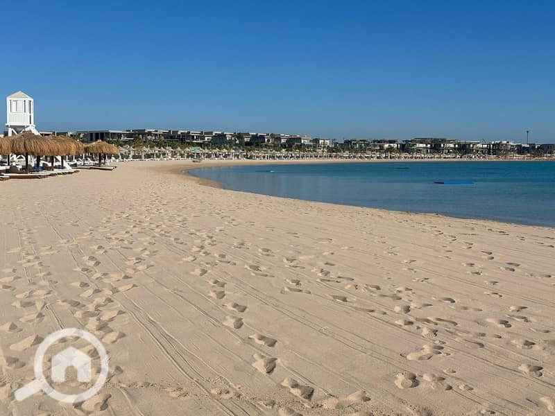 6 photo_2025-05-24_21-59-43. jpg