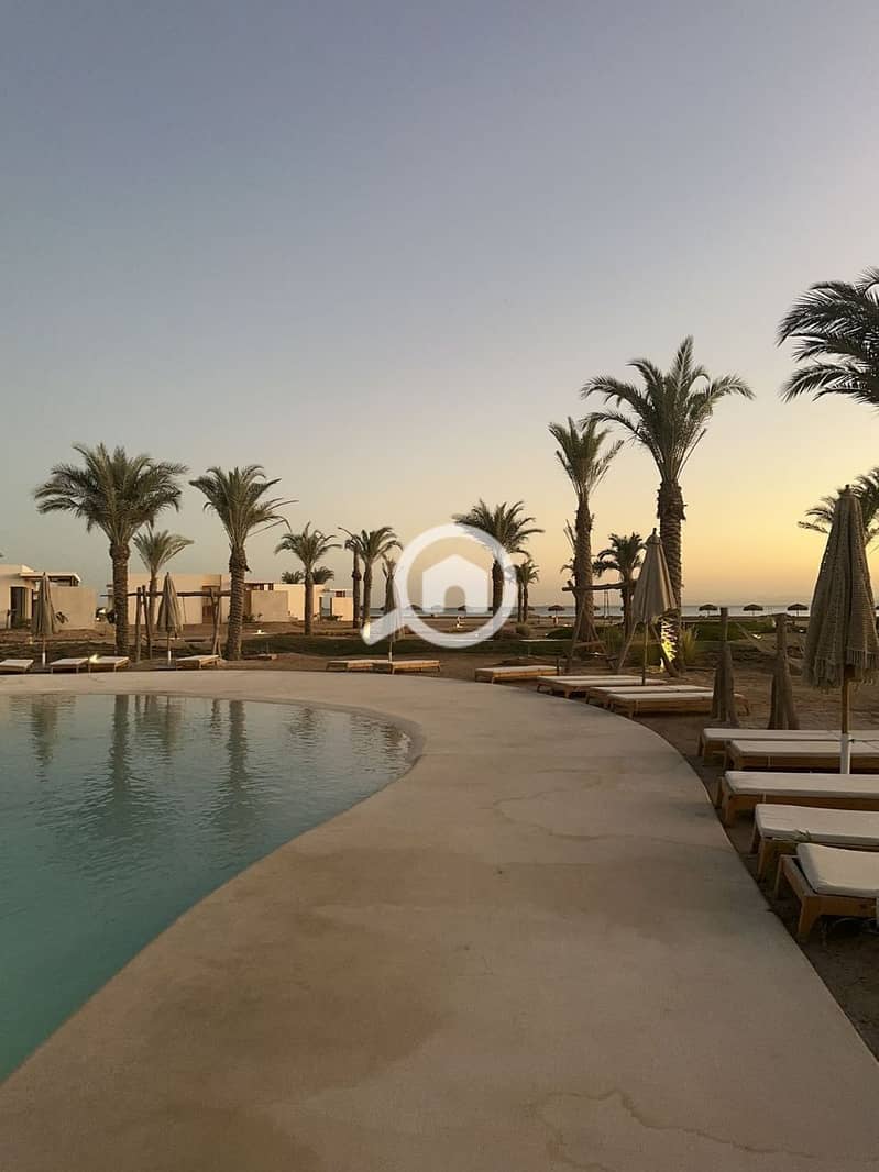 8 photo_2025-05-24_21-59-40. jpg