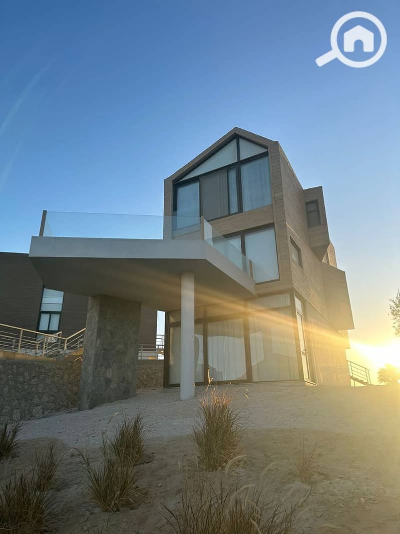 9 photo_2025-03-06_20-07-07. jpg