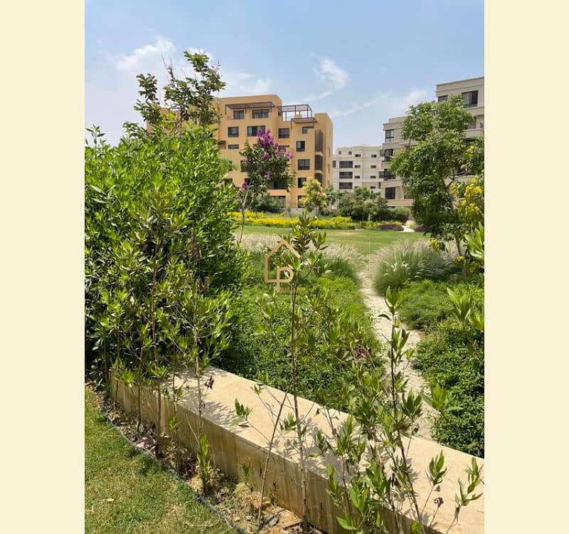 2 545514280_2948386255357054_8505435242105336272_n. jpg