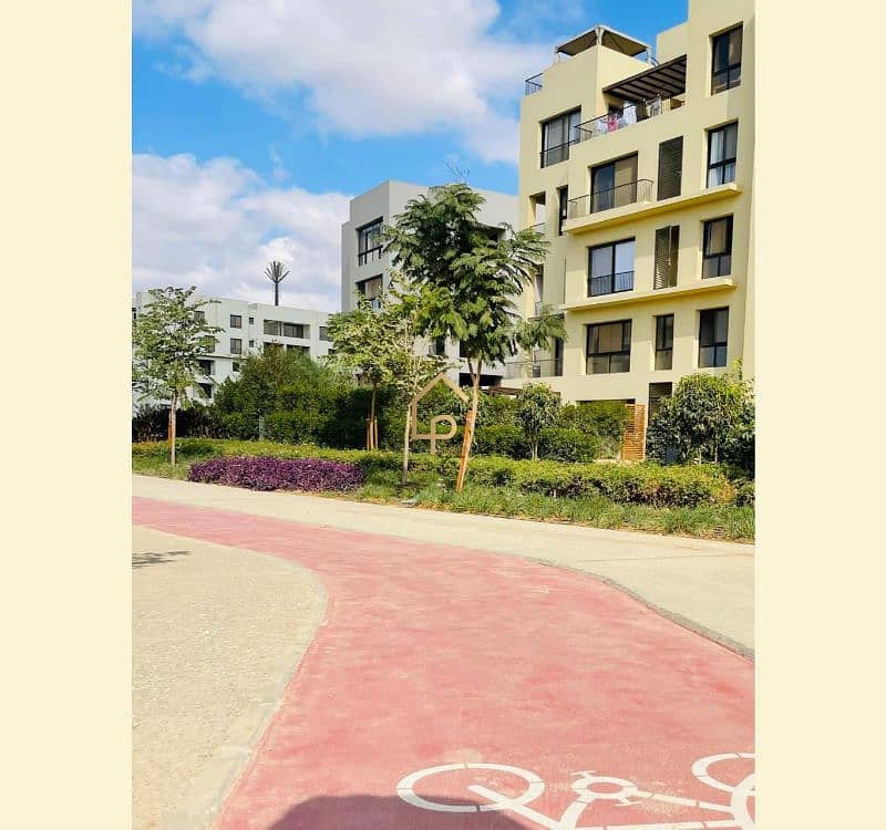 12 566201697_1309718641165977_484962729529980290_n. jpg