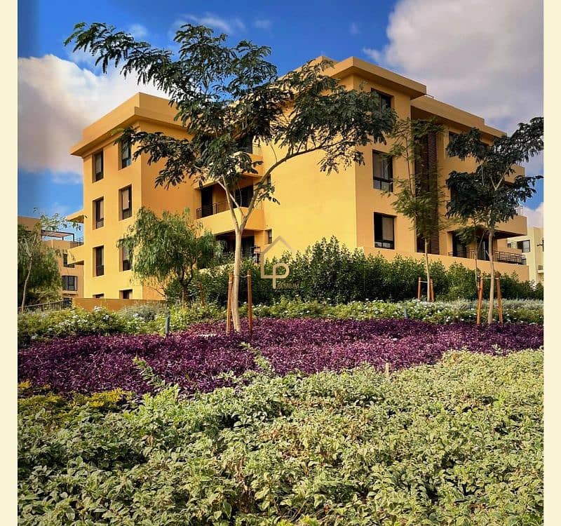 13 568438767_1309718654499309_8351604852214873787_n. jpg