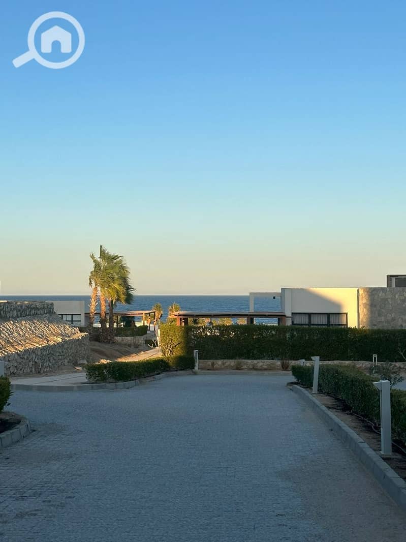 7 photo_2025-03-06_20-07-07 (2). jpg