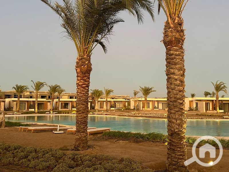 9 photo_2025-03-06_20-06-54. jpg