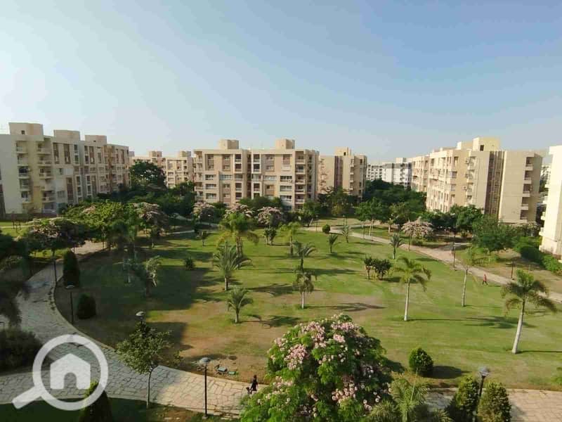 1000550526. jpg 1000550526. jpg