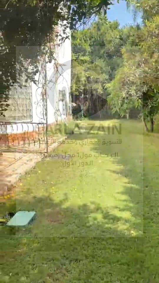 2 صورة واتساب بتاريخ 2025-11-13 في 17.52. 55_63003b7a. jpg