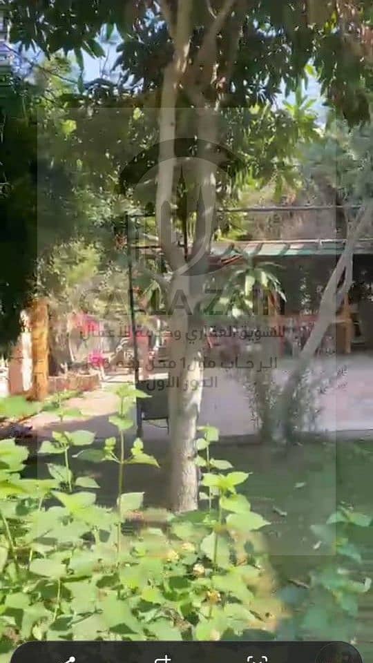 7 صورة واتساب بتاريخ 2025-11-13 في 17.52. 56_ac9d6154. jpg