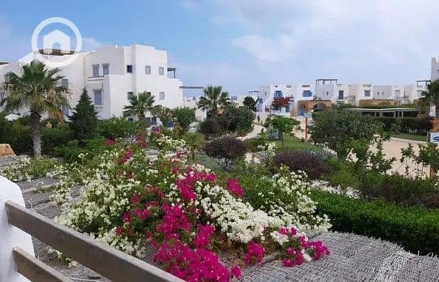 3 WhatsApp Image 2025-06-24 at 4.47. 45 PM (1). jpeg