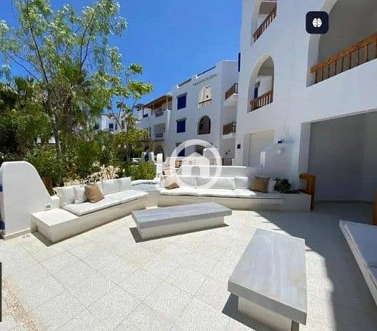 13 WhatsApp Image 2025-06-24 at 4.47. 36 PM (1). jpeg