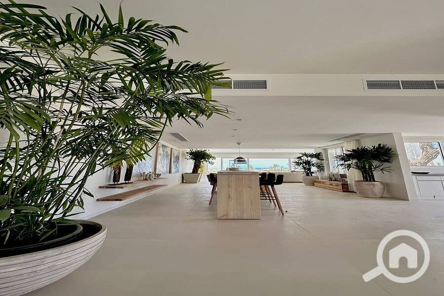 WhatsApp Image 2025-05-15 at 5.00. 40 PM (6). jpeg