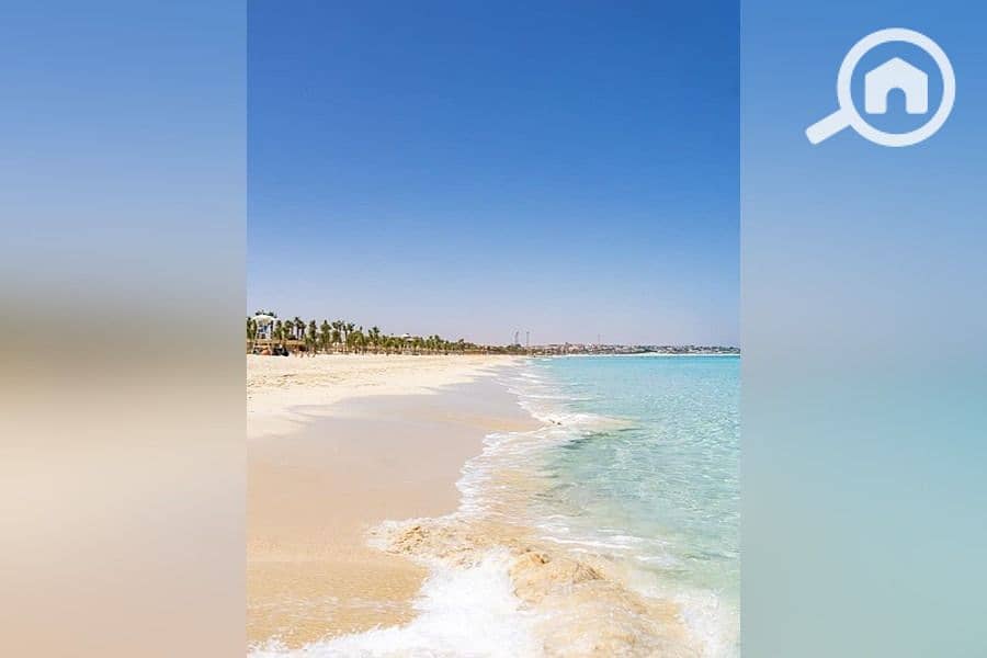 8 WhatsApp Image 2025-05-15 at 5.00. 39 PM (4). jpeg