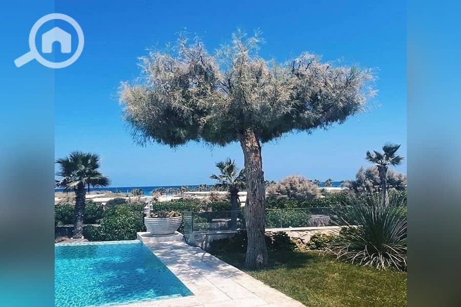 13 WhatsApp Image 2025-05-15 at 5.00. 39 PM (12). jpeg