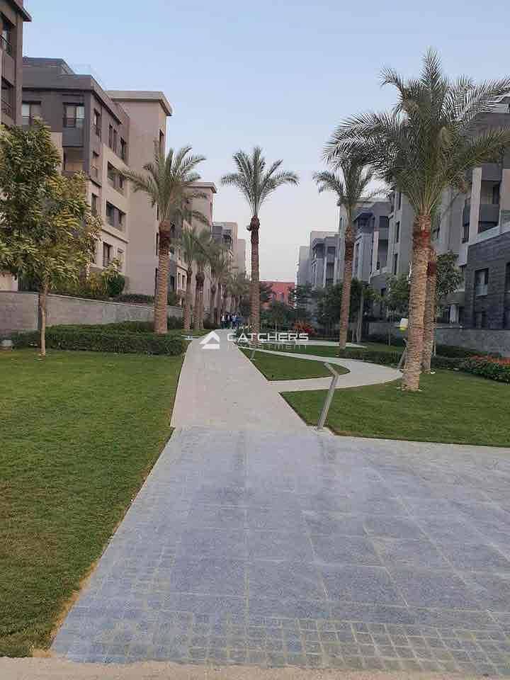 7 78476b9e-a2ab-4ee3-b5e5-f200c1684e87. jpg