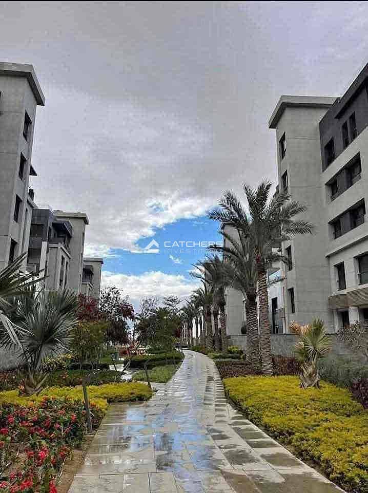 8 c77333e6-3d8c-4a72-b60a-2858727af492. jpg