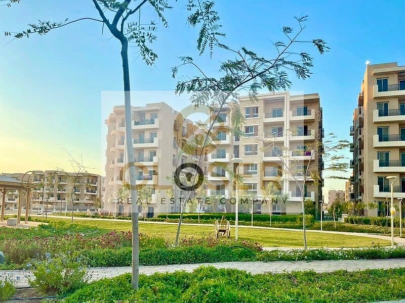 4 474452460_1136432368038802_4841181023986940050_n. jpg