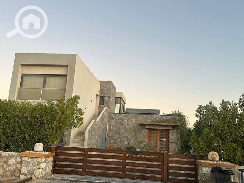 2 photo_2025-03-06_20-07-00. jpg