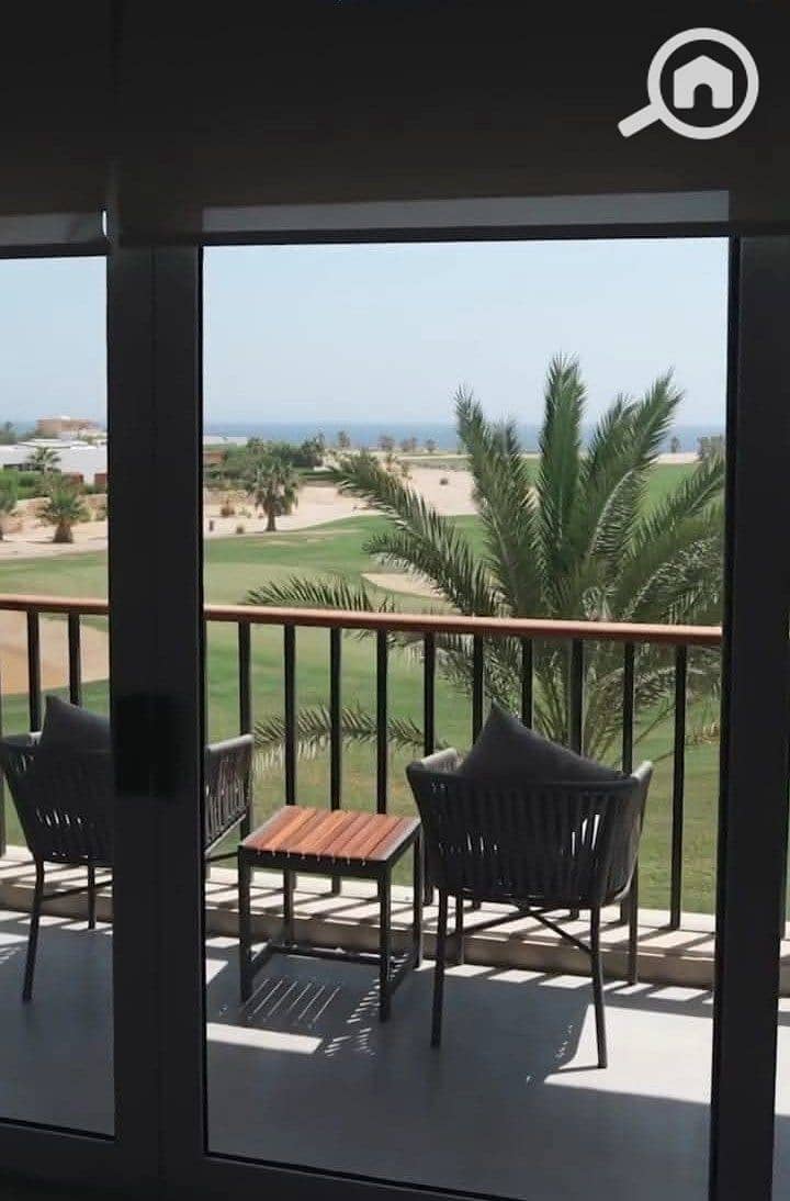 4 photo_2024-12-20_22-28-43. jpg