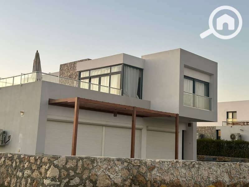 6 photo_2025-03-06_20-07-01. jpg