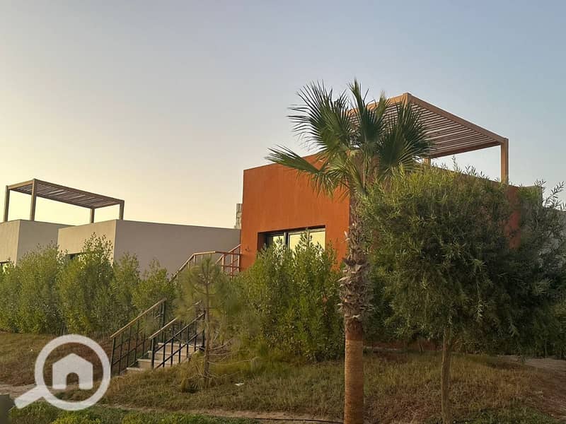 7 photo_2025-03-06_20-06-51. jpg