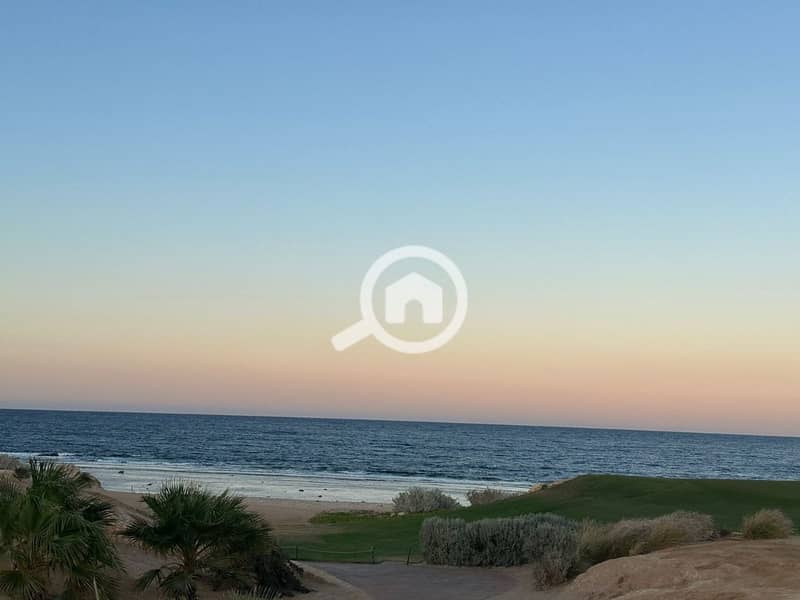 10 photo_2025-05-24_21-59-38. jpg