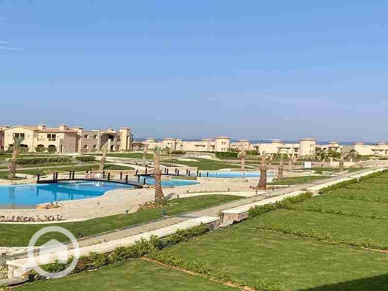 7 FB_IMG_1654463340864. jpg