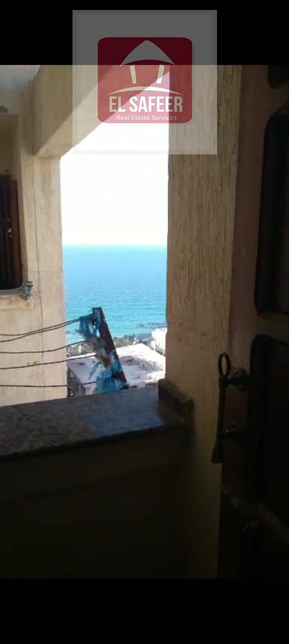 7 76197e3b-7535-4c0b-b4e2-8d7dc8338871. jpg