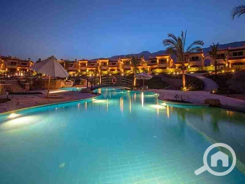 8 FB_IMG_1643557911500. jpg