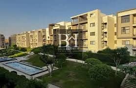 3 download (3). jpeg