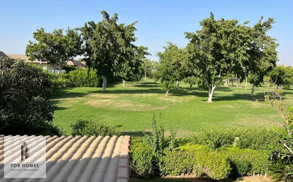 6 WhatsApp Image 2025-11-13 at 1.29. 58 PM (1). jpeg