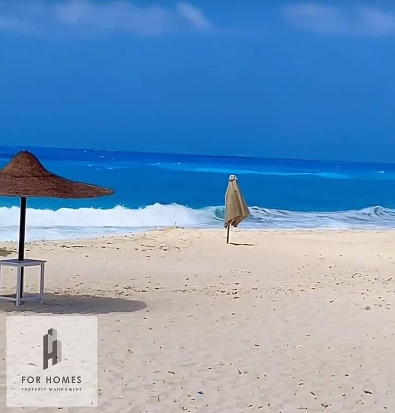 4 WhatsApp Image 2025-11-13 at 1.52. 42 PM (4). jpeg