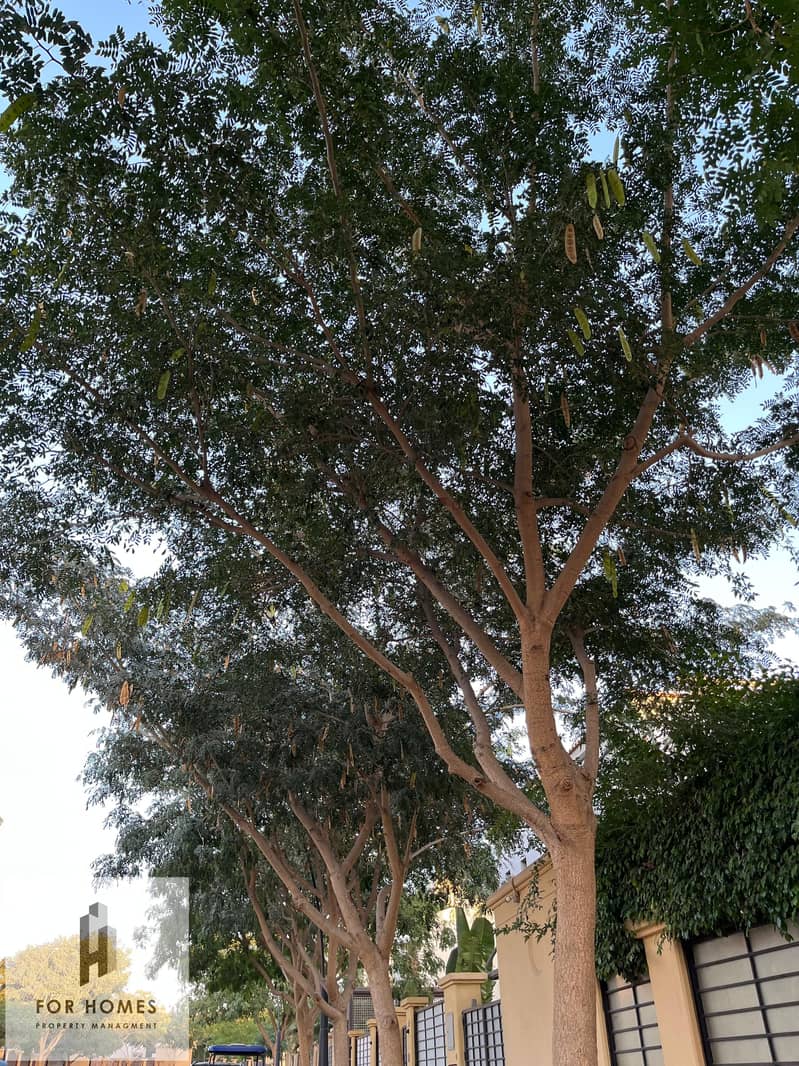 6 WhatsApp Image 2025-01-28 at 4.36. 11 PM. jpeg