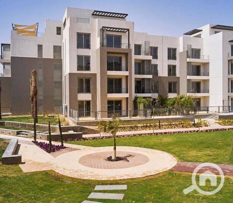 8 468725015_3839435652983653_3253351592360015361_n. jpg