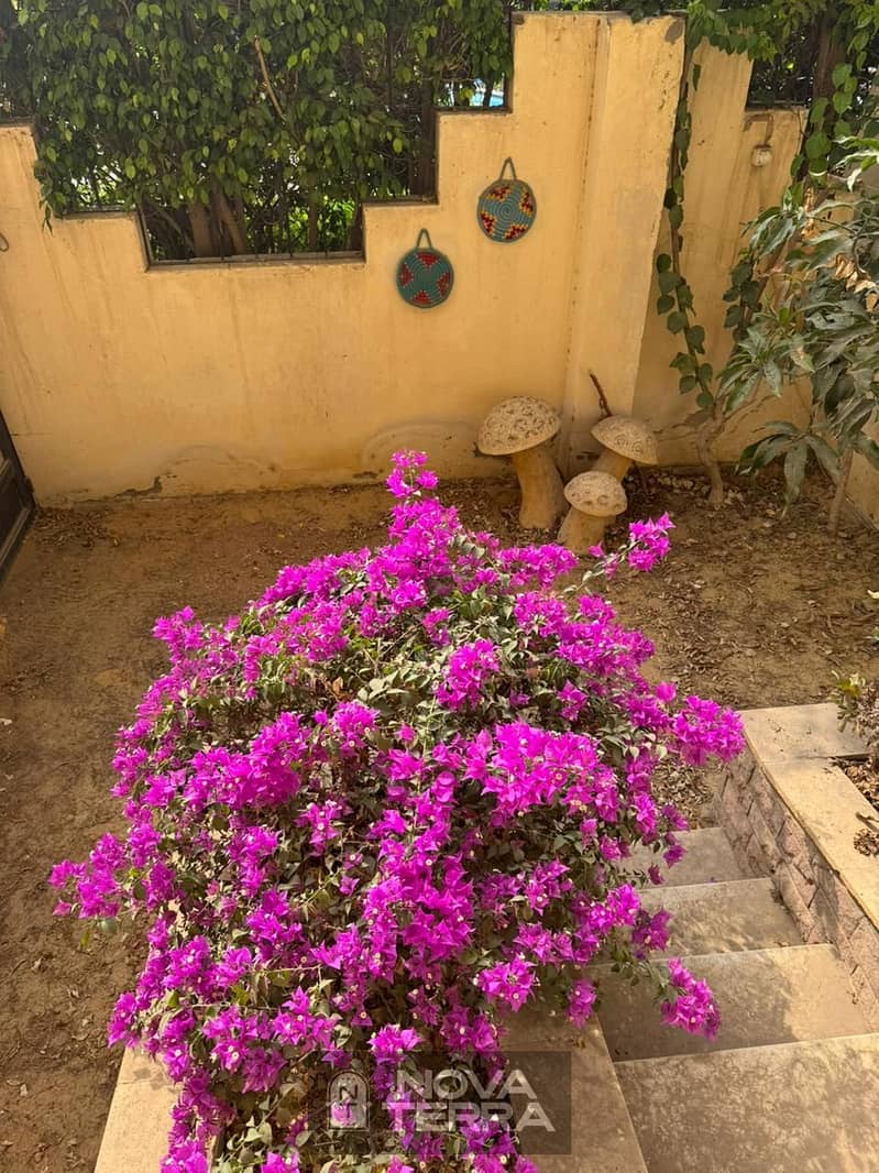 5 IMG-20251113-WA0037. jpg