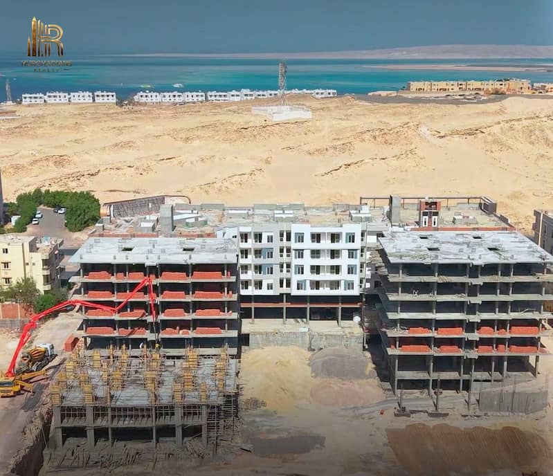 5 20d219d9-2c06-4c91-88ba-2b22ffdd1b1e. jpg