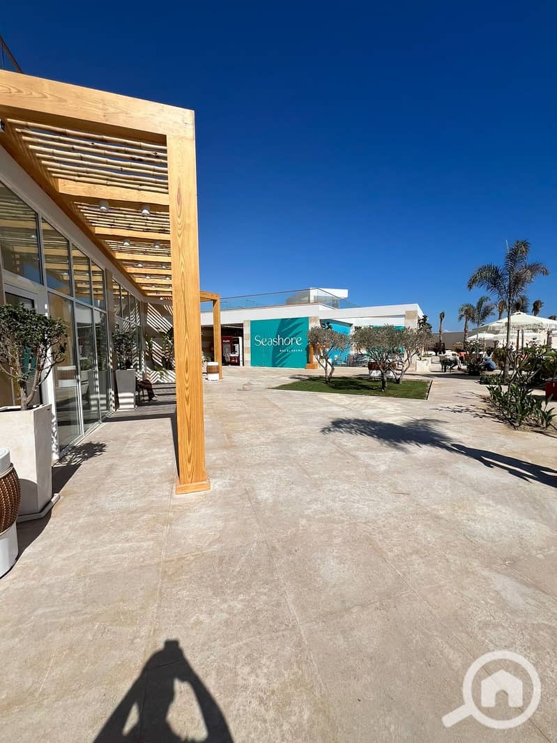 4 66b24eec-d63b-436f-962a-65a56ec0481e. jpg