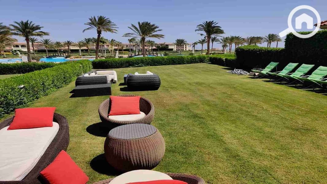 8 FB_IMG_1665693250557. jpg