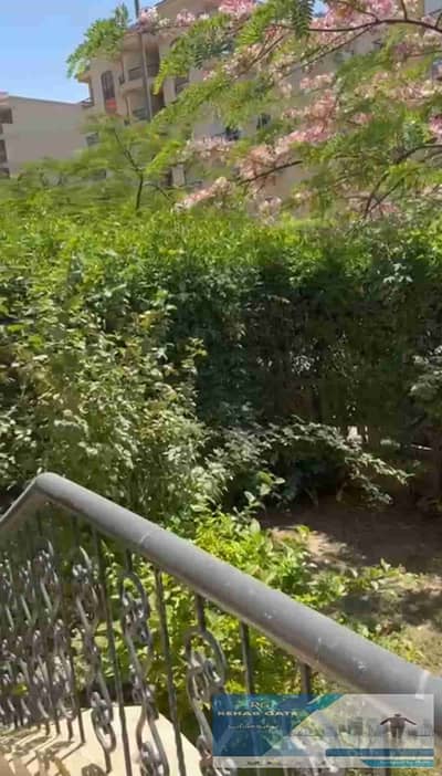 2 Bedroom Flat for Rent in New Cairo, Cairo - 1000321044. jpg 2 Bedroom Flat for Rent in New Cairo, Cairo - 1000321044. jpg