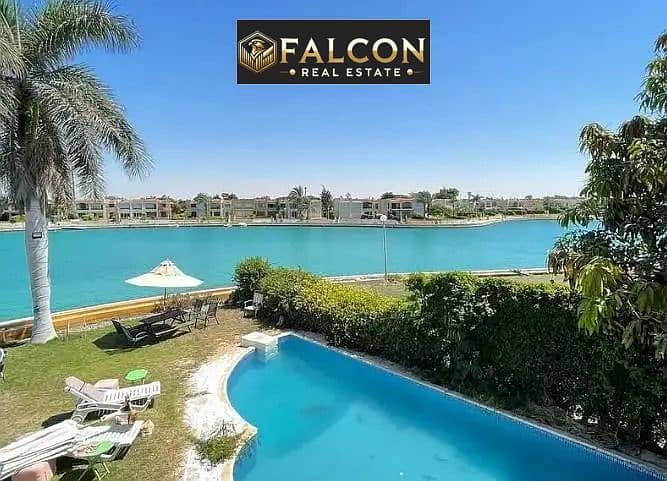 1fdba11f-7655-45c9-9dff-fd22d52f18c5. jpeg