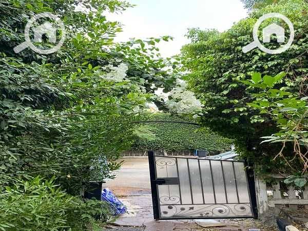 5 fY43ea2RMITGaHFKTjJwKwE9opf3dDbAT7np2H0p. jpg