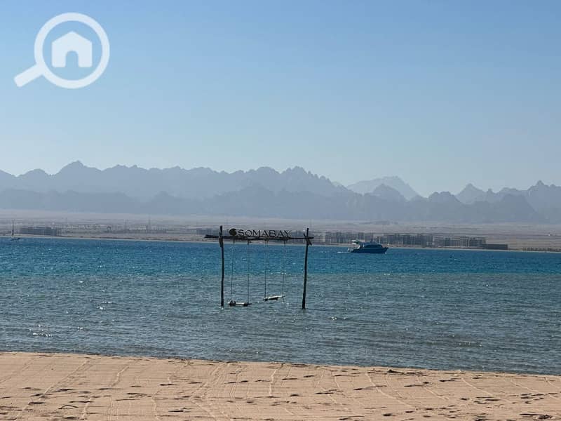 9 photo_2025-03-06_20-06-39. jpg