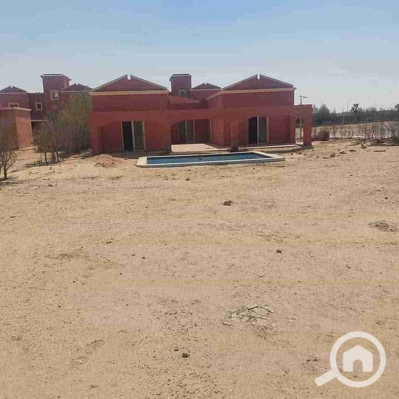 1000075138. jpg 1000075138. jpg