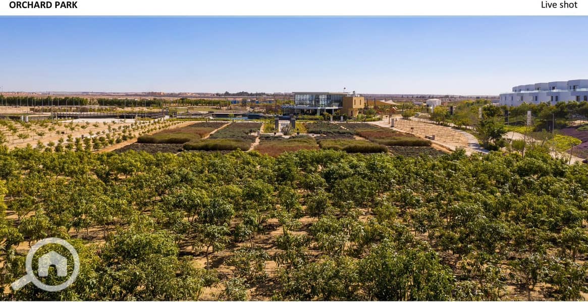 4 39f13a7a-bb7a-440b-9633-f77569838809. jpg