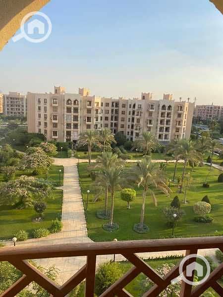 9 TX9aS4002SChBnFhbU1MxqwCYzPNqTEX10h7F6a3. jpg