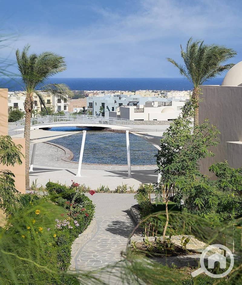 8 photo_2025-02-01_20-12-54. jpg